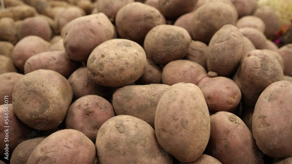 Unwashed tubers of pink potatoes on the counter of a farm store. Harvest, sale, storage of vegetables. Potatoes close up. Unwashed tubers of pink potatoes on the counter of a farm store. Harvest, sale, storage of vegetables. Potatoes close up.