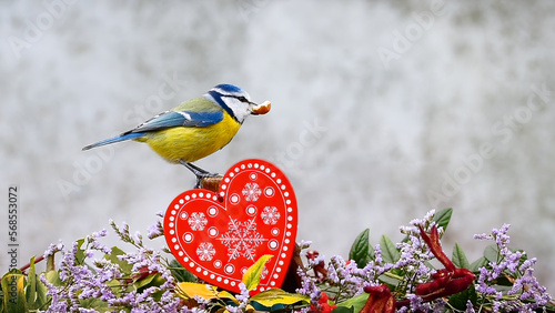 valentine heart decoration with blue tit eating peanut on top