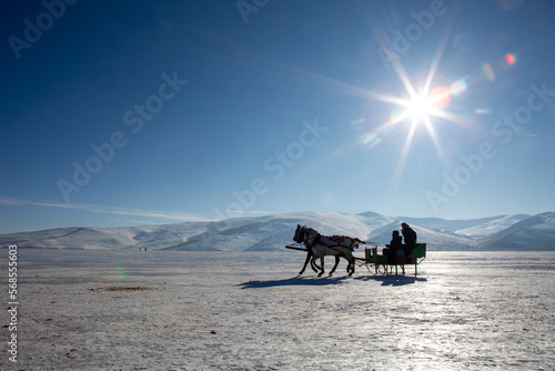 Sleigh pulled by a horse in lake frozen Cildir. Traditional Turkish winter fun. Cildir Lake   Kars   Turkey