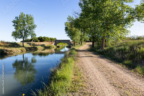 dirt road along the Canal de Castilla (Canal of Castile) Ramal de Campos next to Medina de Rioseco, province of Valladolid, Castile and Leon, Spain