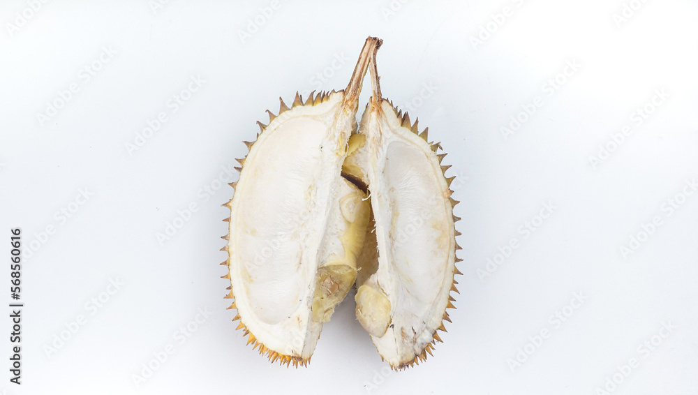 Fresh cut durian on a white background