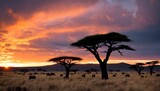 Spectacular Serengeti Sunset