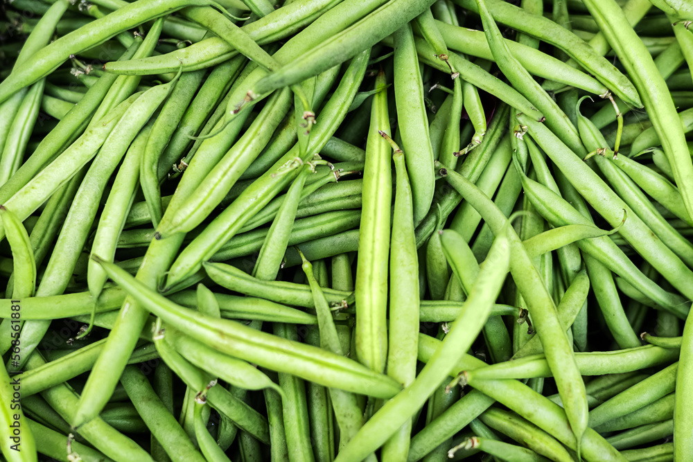 Heap of fresh green beans on market or harvest, green strings vegetable background. Heap of fresh green beans on market or harvest, green strings vegetable background.