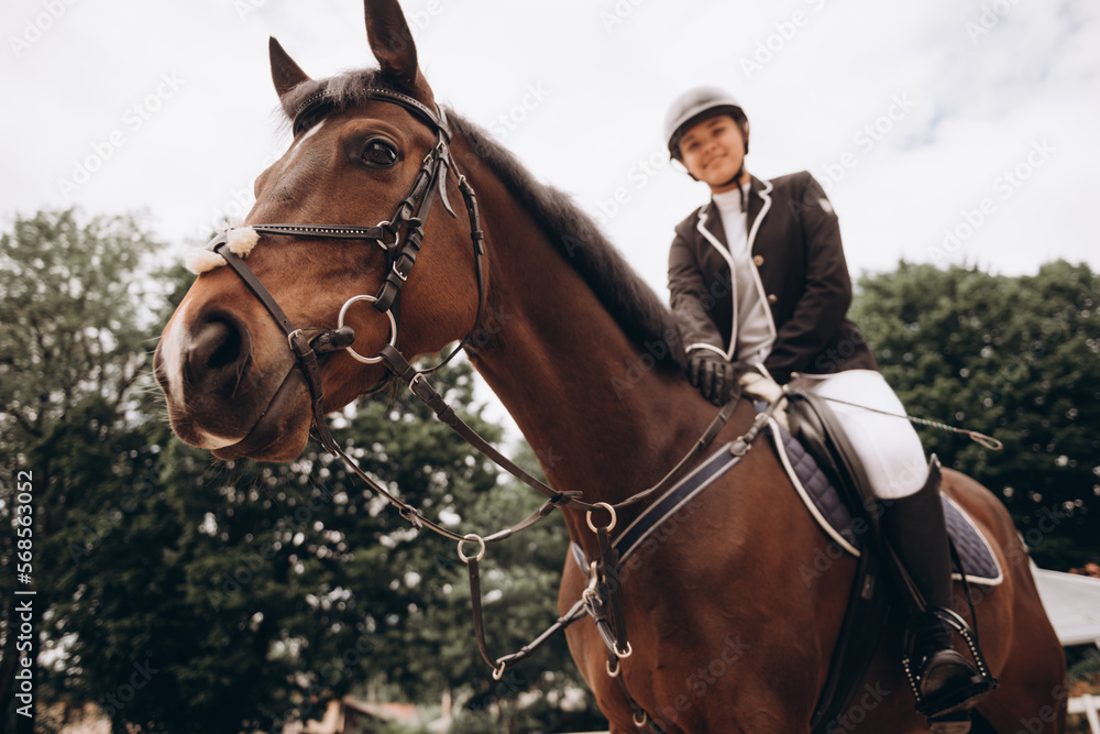 Obraz premium Graceful animal. Smart horse with a professional rider on its back