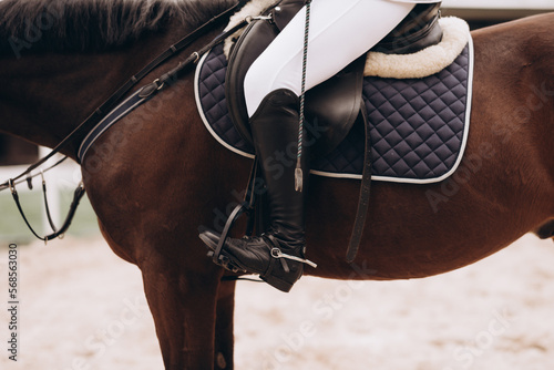 Professional male equestrian rider saddle up horse for dressage on training or competition - Unrecognizable closeup, focus on boots in stirrup. Concept of animal loving and having hobby © JJ Studio