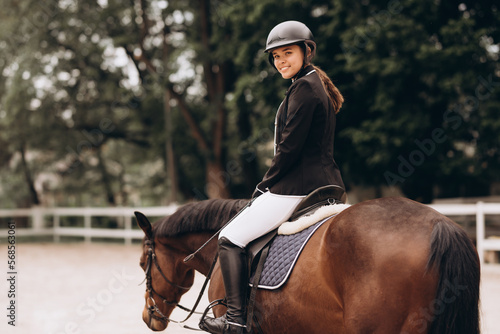 Graceful animal. Smart horse with a professional rider on its back