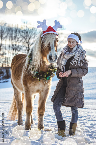 Portrait of a haflinger horse wearing a christmas wreath and an antler hat with it´s teenage girl owner beneath wearing a black santa hat in front of a snowy winter landscape. Equestrian christmas 