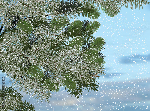 green lush pine branch on blue
