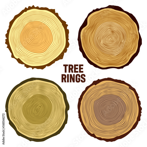 Round colorful tree trunk cuts, sawn pine or oak slices, lumber. Saw cut timber, wood. Brown wooden texture with tree rings. Hand drawn sketch. Vector illustration