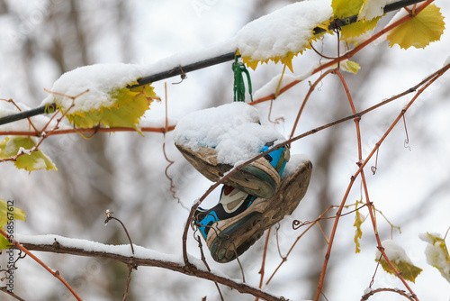 Obraz na plátně Sneakers abandoned on a wire in the snow hang on the street
