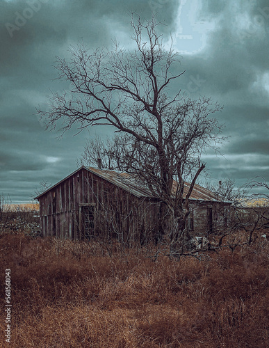 house