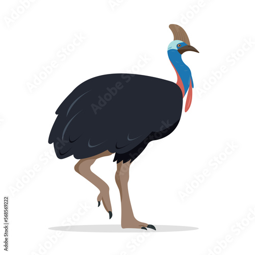 Cassowary bird icon. Big Australian big cassowary isolated on white background. Flat or cartoon vector illustration. photo