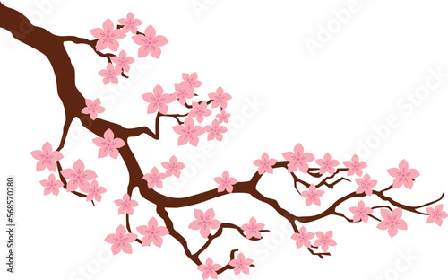 pink cherry blossom #568570280