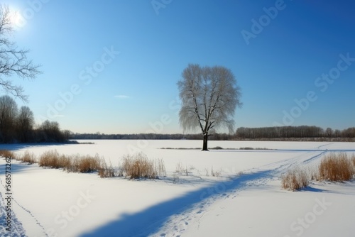 Winter: A snowy field with trees in the distance and a clear blue sky.photowallpaper,wallpapers for home,landscape, generative ai	 photo