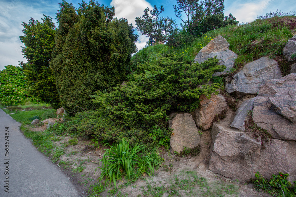 Rocks and junipers trees  in Botanical garden of Grivko in Kyiv