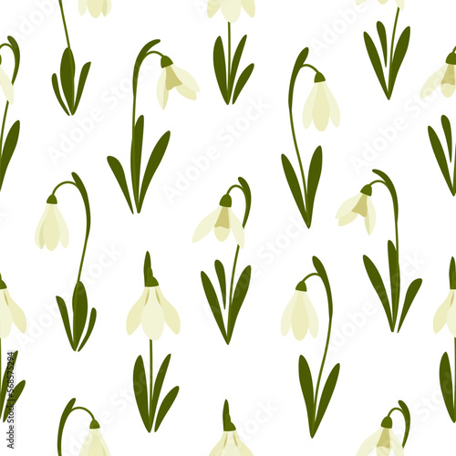 Fototapeta Naklejka Na Ścianę i Meble -  Seamless pattern Snowdrops flower on spring white background. Print for your design. Vector Illustration.