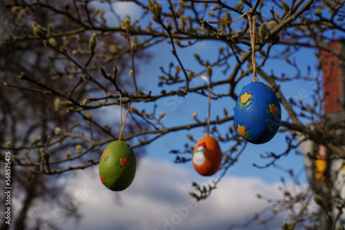 Colorful easter eggs hanging on tree branches on a sunny day with blue sky background. Selective focus. Concept of Easter in Germany. Frohe ostern!
