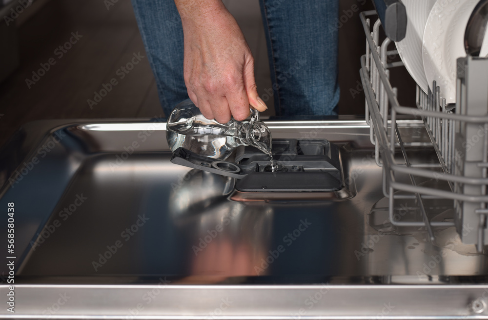 Woman filling up dishwasher rinse aid dispenser with vinegar Stock Photo |  Adobe Stock