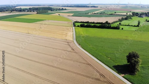 Scenic aerial drone view of wind trubines and green and yellow fields in Normandy, France photo