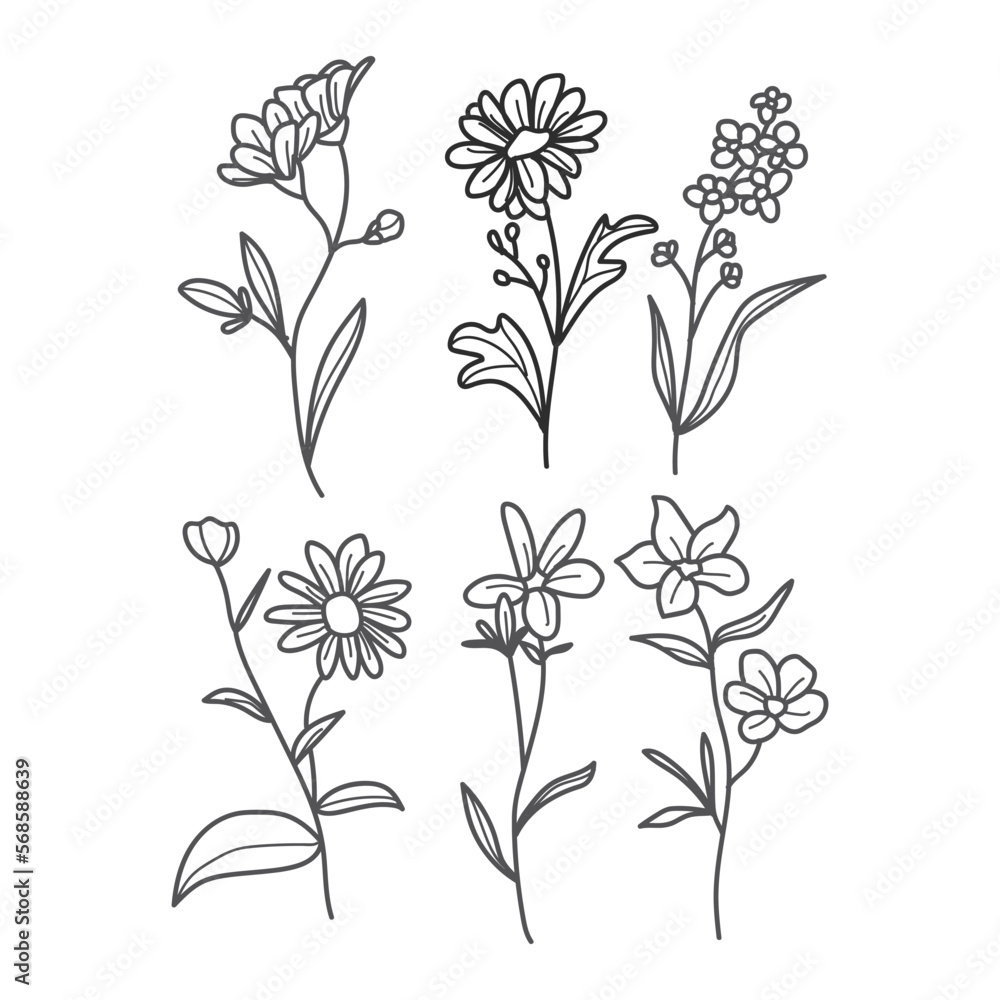 A set of hand drawn botanical line illustrations, isolated on a white background. Simple foliage and floral elements for design.