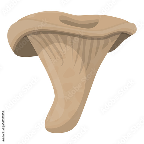 Milk mashroom. Edible Organic mushrooms. Truffle. Forest wild mushrooms types. Colorful PNG illustration.