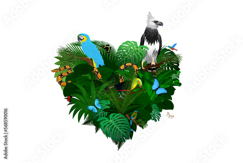 jungle rainforest heart illustrations with macaw parrot, harpy eagle, toucan, python, motmot and butterflies