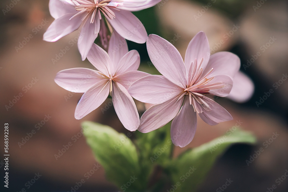 Vertical shot of beautiful bloomed flowers Generative AI Vertical shot of beautiful bloomed flowers Generative AI