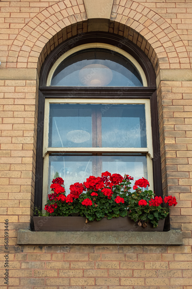 Brick wall with arched windows, flower pots. Old ornamented window with flowers Brick wall with arched windows, flower pots. Old ornamented window with flowers
