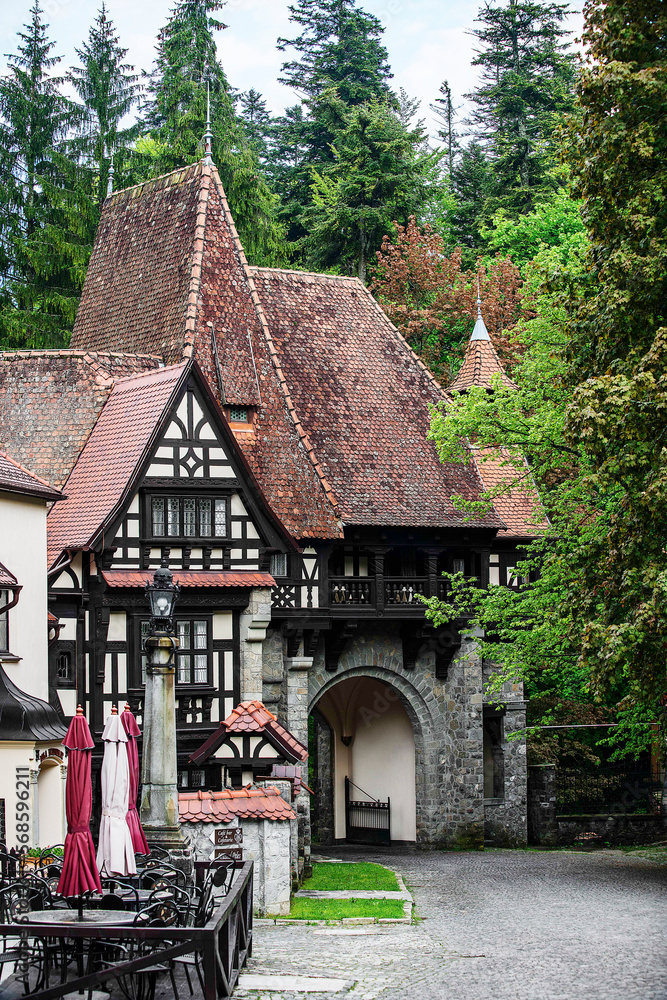 Buildings with typical Transylvanian roofs near Peles Castle Buildings with typical Transylvanian roofs near Peles Castle