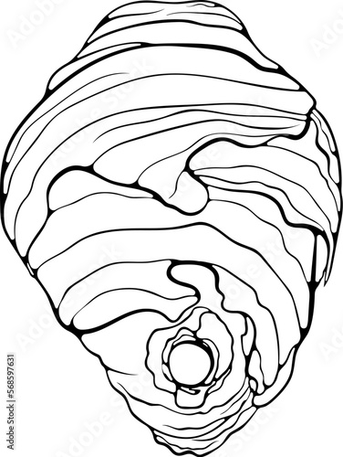 Hive of wild wasps. Vespiary residence flying insects close up. Vector illustrations in hand drawn sketch style isolated on white. Illustration coloring book page, logo.