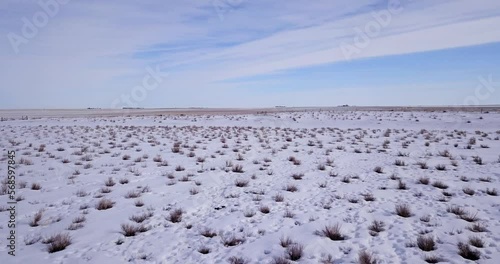 Snow Covered Pasture