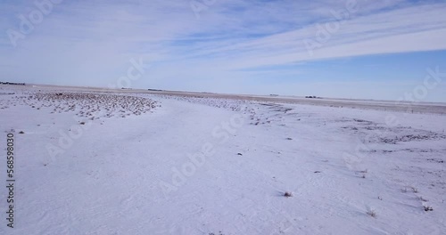 Country Creek Covered in Snow