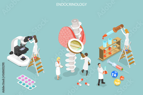 3D Isometric Flat Vector Conceptual Illustration of Endocrinologist, Doctor Diagnose and Treat Human Thyroid Gland