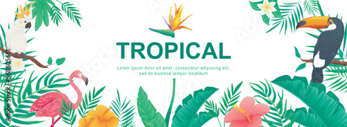 Tropical horizontal web banner. Jungle plants, leaves of palm tree, monstera, banana, flowers, toucan, flamingo and parrot. Vector illustration for header website, cover templates in modern design