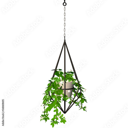 hanging plants © Ifdal