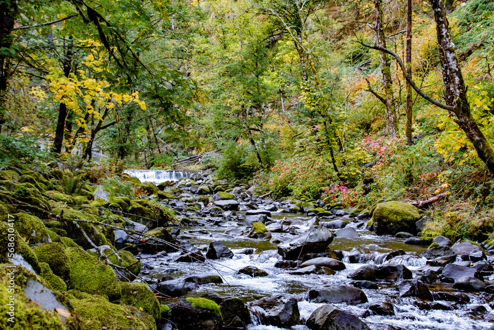 Fall River at Wahclella Falls Trail in the Columbia River Gorge in Oregon Fall River at Wahclella Falls Trail in the Columbia River Gorge in Oregon