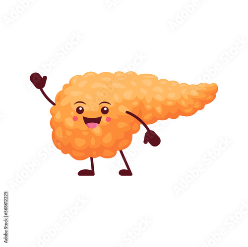 Cartoon pancreas healthy body organ character