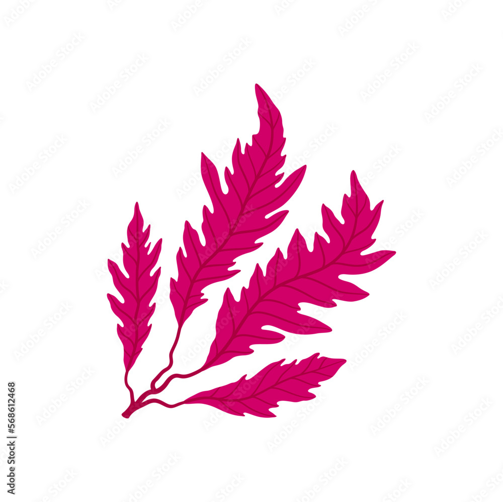 Purple branch of seaweed plant with leaves
