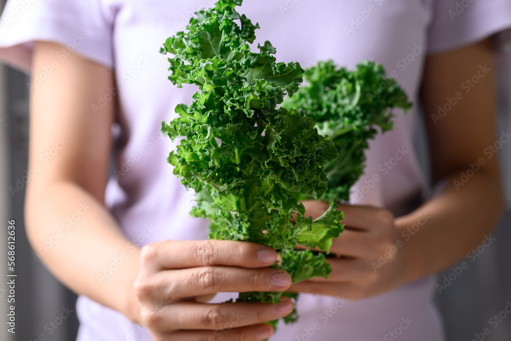 Green Kale or leaf cabbage in woman hand, Healthy organic vegetable food ingredient