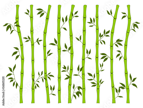 Bamboo green stem and leaf borders set. Exotic decoration elements fresh natural plant in line flat style. Hand drawing painted Asian traditional tree leaves and sticks bamboo botanical collection