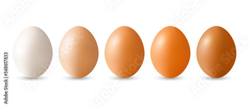 Set of Eggs Isolated On White Background.Eggs Template.Realistic Eggs.Chicken eggs.Vector