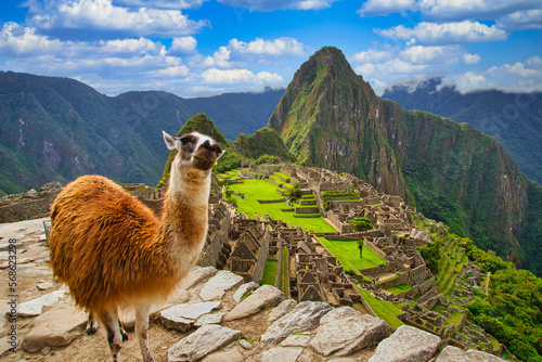 インカ文明の夢の跡・マチュピチュ古代遺跡の絶景