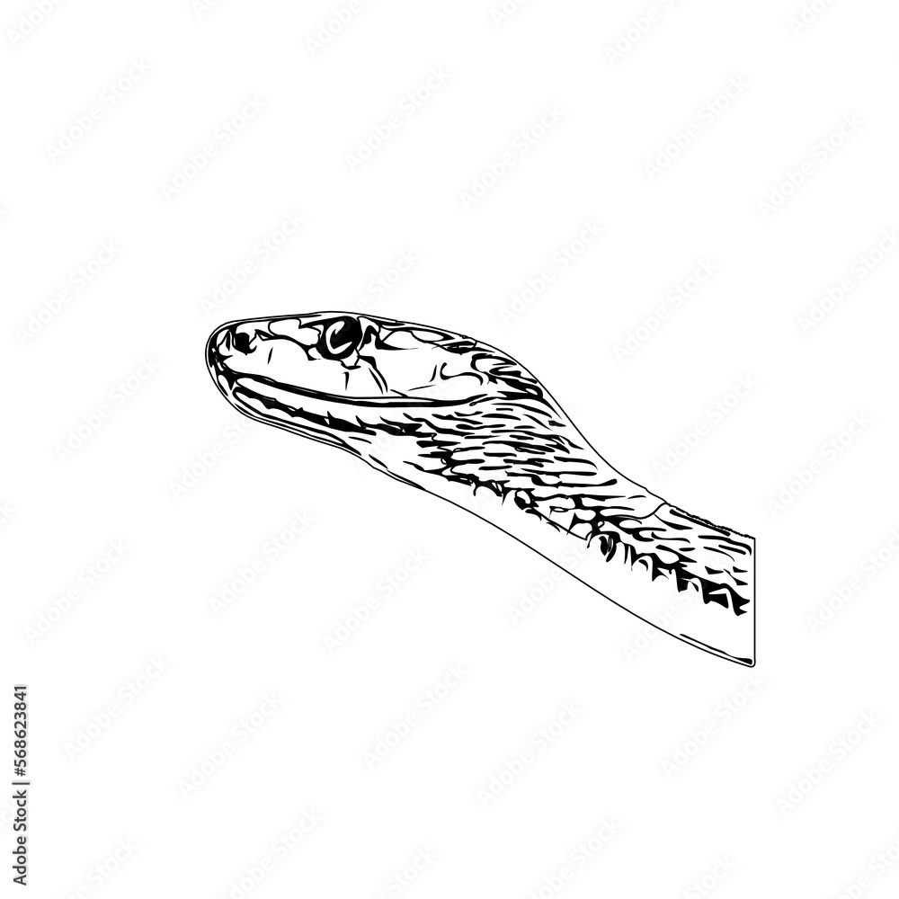 Naklejka premium Black and white sketch of a snake with transparent background