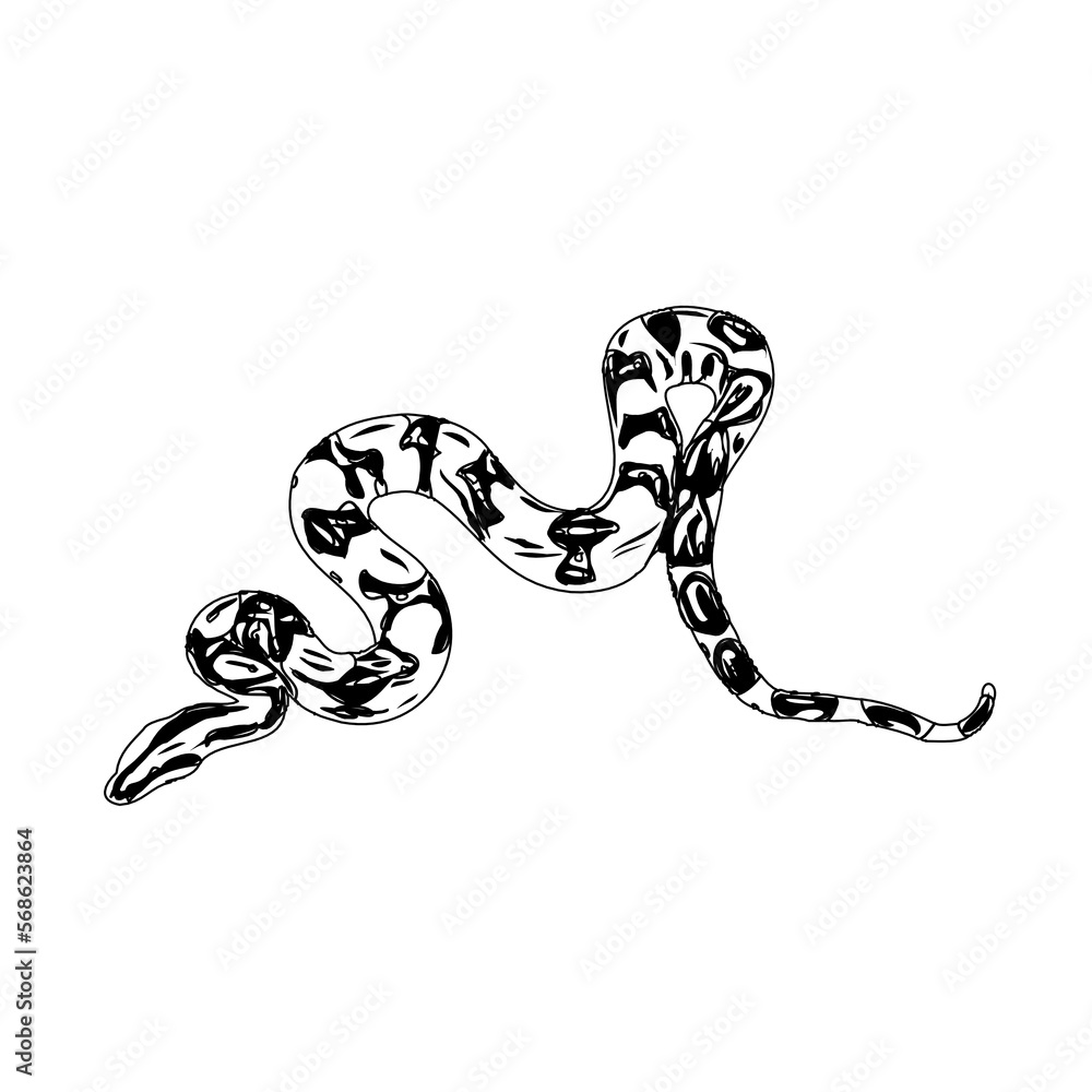 Fototapeta premium Black and white sketch of a snake with transparent background