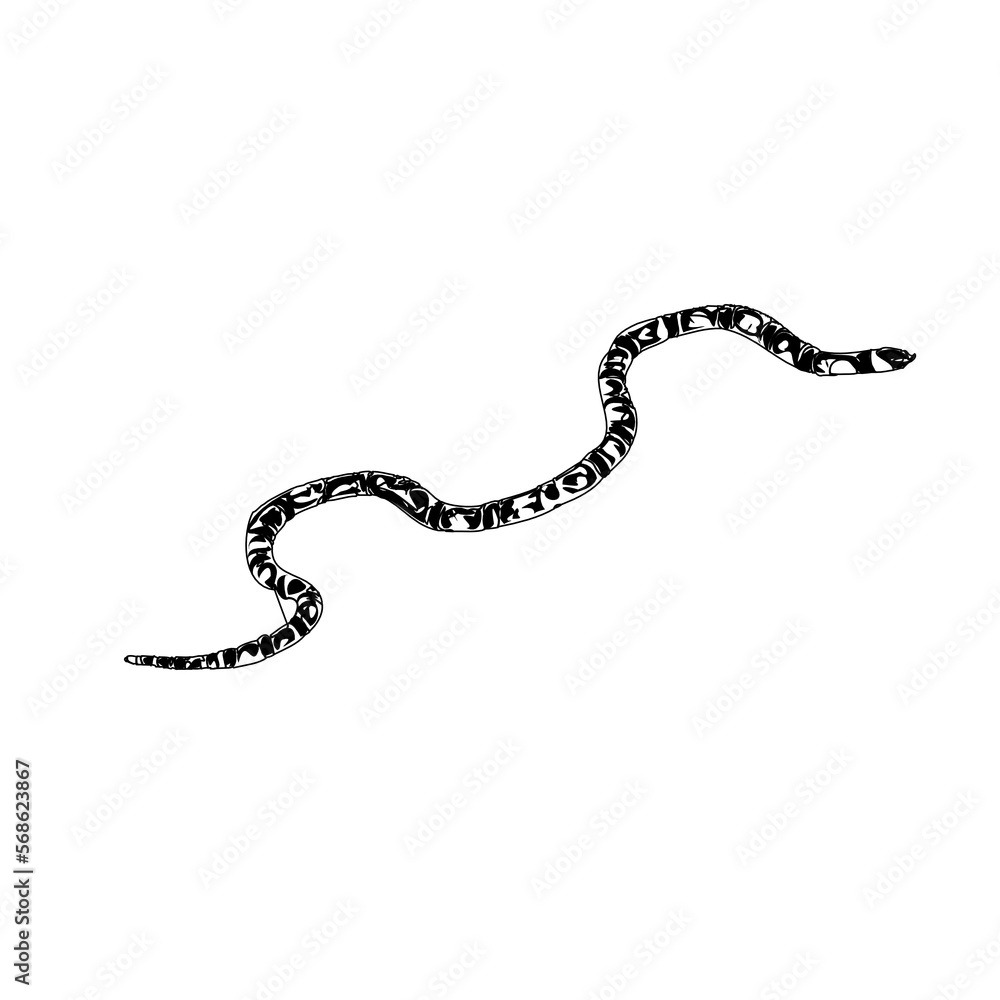 Black and white sketch of a snake with transparent background Black and white sketch of a snake with transparent background