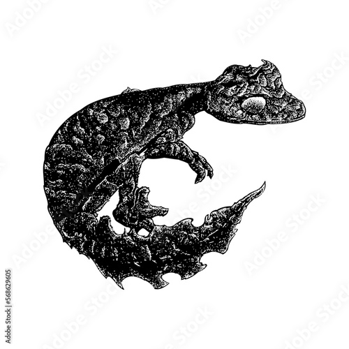 Satanic leaf-tailed gecko hand drawing. Vector illustration isolated on background.