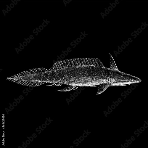 Xenacanthus hand drawing vector isolated on black background.