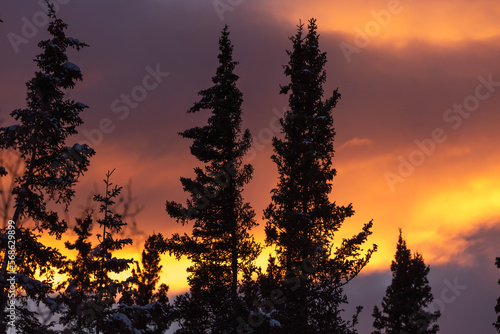 Incredible sunset views in winter season from northern Canada with bright pink clouds, mountains and snow at dusk. © Scalia Media