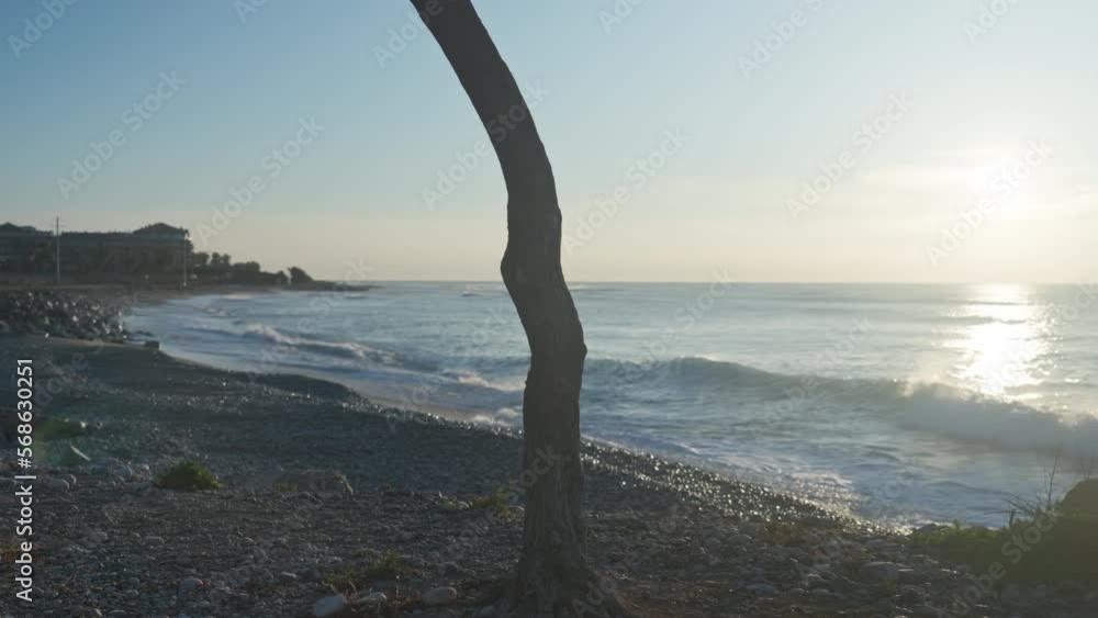 A traveler arrives at the seaside and pauses to take in the view. He then leans his bike against a tree, removes his backpack and gloves, and fully immerses himself in the serene golden morning vista A traveler arrives at the seaside and pauses to take in the view. He then leans his bike against a tree, removes his backpack and gloves, and fully immerses himself in the serene golden morning vista