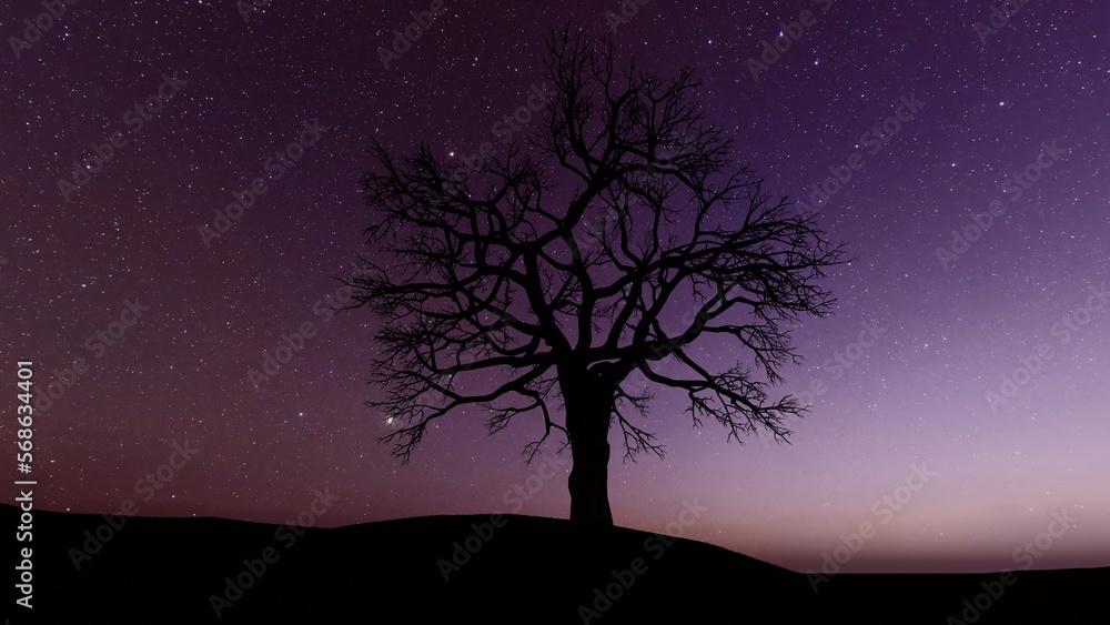 silhouette of a tree